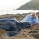 Picture shows: The leatherback turtle. Weighing over half a ton, it is largest turtle on the planet but globally, its numbers have fallen catastrophically. Sir David Attenborough travels to Trinidad to meet a remarkable community that are trying to save these iconic giants.